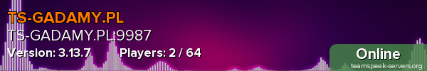 TS-GADAMY.PL