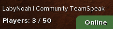 LabyNoah | Community TeamSpeak
