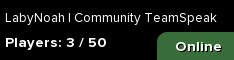 LabyNoah | Community TeamSpeak