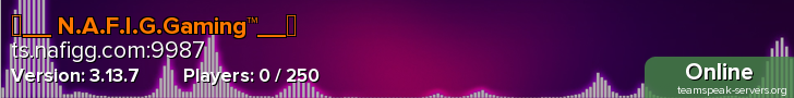 ☠__ N.A.F.I.G.Gaming™__☠